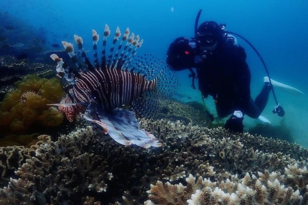 よかよかダイビング 牛深店