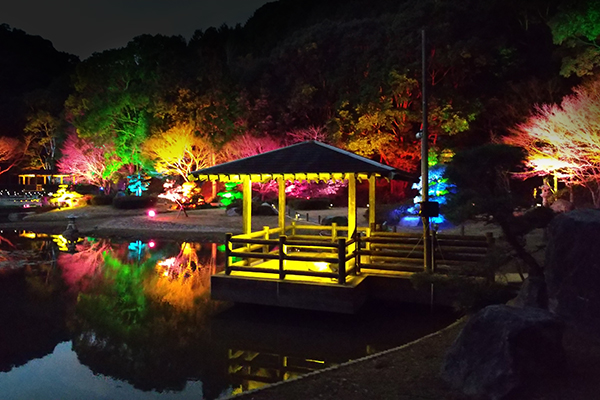 11月末～1月上旬までイルミネーション開催