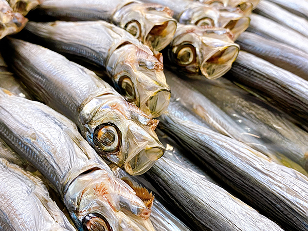 うるめいわしの丸干し