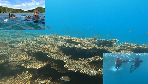 シュノーケリング体験